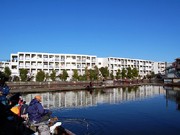 町田の「ヘラブナ釣り堀」、50年の歴史に幕－来年1月営業終了へ