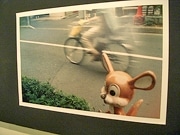 「凍ったカンガルーにつまずいて3針縫ってから」－信大生が写真展