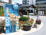 松本・縄手通りで「かえるまつり」－カエルの仮装行列「ケロウィン」も