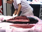 松山にまぐろ居酒屋「さかなや道場」－まぐろ一本買いで各部位を提供