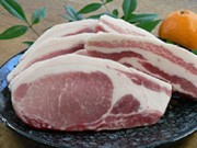「愛媛甘とろ豚」－愛媛県が生産を誇る養豚業で新たなブランド戦略