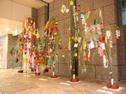 松山の地下商店街で七夕イベント－地元園児らの七夕飾りを展示