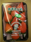 幻のイチゴ「寒じめあまおとめ」－いよてつ高島屋で販売開始、連日完売