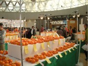 伊予鉄高島屋で恒例「えひめみかん祭り」－ポンジュース蛇口やみかん餅つきも