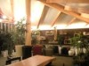 松山・此花町に観葉植物専門店「明治園」－老舗造園会社が出店