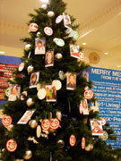 笑顔の写真でクリスマスツリー、世界を巡る「メリー・プロジェクト」一環で