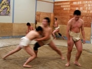 名古屋城でアマチュア相撲大会－クラブ音楽、「小悪魔系」ショーも
