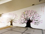 名鉄名古屋駅に「サクラの木メッセージボード」－受験生応援企画で