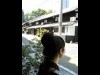 下町・和テーマにした「名古屋下町散歩日和」－今年は夜の開催に