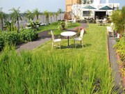 緑化されたマンション屋上のカフェが人気に－環境コンサル会社が経営