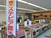 農家のコンビニ「百姓家」がオープン－ステビア農法の野菜直売