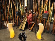 水戸の和食店でハープライブ－セシリア光子さんが演奏、聖夜に彩り