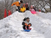 茨城で冬を楽しむ「雪まつり」－山形県から10トントラック8台で雪運ぶ
