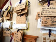 水戸のとんかつ店が受験生応援企画－合格福袋などを配布
