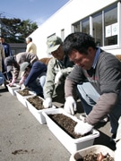 福祉作業所が「花いっぱい運動」に参加－東北電力の呼びかけで8年目