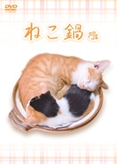 ニコニコ動画発、癒しの映像「ねこ鍋」がDVD化－アマゾンで先行発売