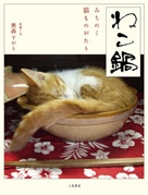動画発「ねこ鍋」がフォトエッセーに－静止画でもやっぱりかわいい