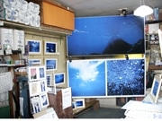 水深50センチの水中写真展－川の中をオリジナルのブルーで表現