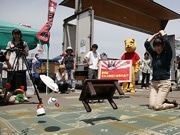 矢巾町で「ちゃぶ台返し世界大会」開催－主婦のパワーに会場大にぎわい