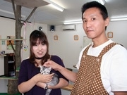 盛岡に「猫カフェ」－店長「自分も癒されたい」と開業