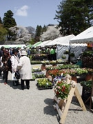 盛岡・岩手公園で「環境緑化まつり」－苗木・腐葉土のプレゼントも