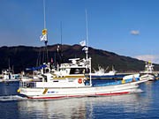 盛岡のADBOAT JAPAN、漁船に広告掲載で被災漁師を資金援助