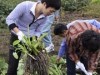 滝沢村で「鍋野菜」収穫する農業体験実施－安近短な週末レジャーを提案