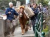 長崎の坂道で対州馬の荷運びを再現－園児たちとの交流も