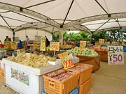 那覇・小禄に農家直売所－同級生二人が生産農家の現状考え出店