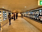 クリスタ長堀で水中写真展－自由テーマで約100点を展示