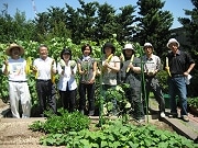 「なにわ伝統野菜」栽培体験講座－なんばパークス屋上菜園で