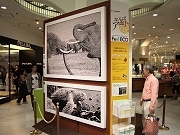 なんばCITYなどでエコがテーマのアートイベント－切符アート作品など