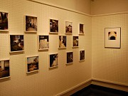南船場で企画写真展「犬の日々、猫の日々」－身近な存在をテーマに