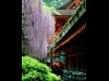 奈良市写真美術館で「奈良大和路春夏秋冬」－入江泰吉の代表作展示