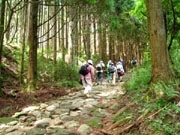 箱根で観光ガイド付きのツアー実施－「大人の遠足」テーマに