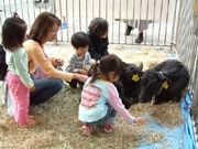 小田原城址公園で「農業まつり」－家族連れでにぎわう