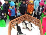 箱根園に期間限定「ちびっこゲレンデ」－週末はペンギンも登場