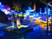 湯河原町・万葉公園にイルミ4万個－イベント「冬ほたる」開催で