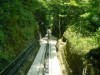 「渓谷電車」（2）