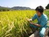 小田原でエコリサイクル米