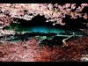 桜と夜景