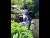 富士屋ホテル・庭園