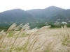 箱根登山鉄道が創業120周年記念ハイキング－記念キャンペーンの一環で