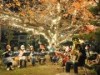 岡崎「てんま通り商店街」でイルミネーション点灯祭－1月末まで点灯
