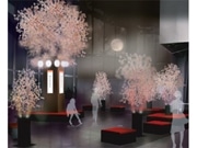 六本木ヒルズの展望台に期間限定「天空の花見カフェ」