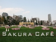 東京ミッドタウン芝生広場に「花見カフェ」－KDaがデザイン担当