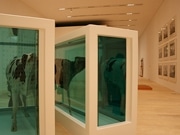 話題の「牛」が森美術館に上陸－「ターナー賞」展で