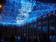 東京タワー、一足早く「七夕」模様に－展望台に「天の川」点灯