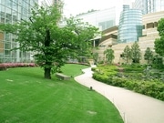 テレビ朝日隣、約800平方メートルの芝生を開放－六本木ヒルズ