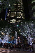 六本木ヒルズでクリスマスイルミネーション開始－43万灯のLED